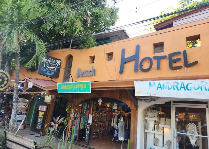 Hotel La Palapa