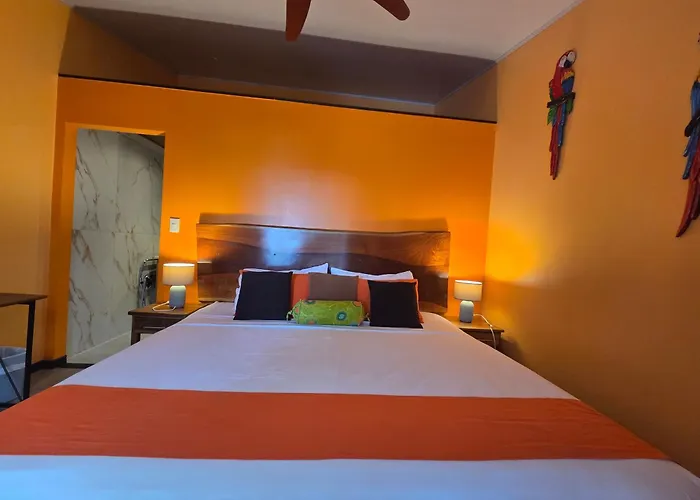 Hotel La Palapa